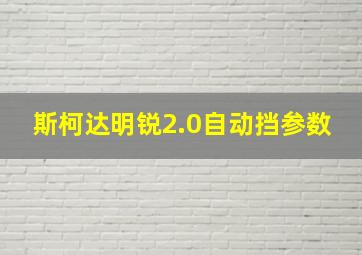 斯柯达明锐2.0自动挡参数