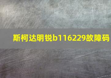 斯柯达明锐b116229故障码