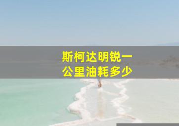 斯柯达明锐一公里油耗多少