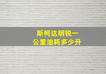 斯柯达明锐一公里油耗多少升