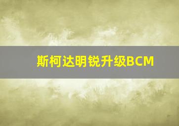 斯柯达明锐升级BCM