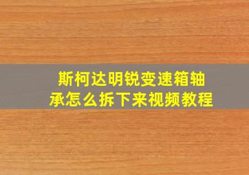 斯柯达明锐变速箱轴承怎么拆下来视频教程