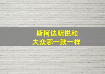 斯柯达明锐和大众哪一款一样