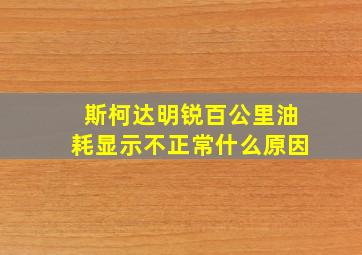 斯柯达明锐百公里油耗显示不正常什么原因