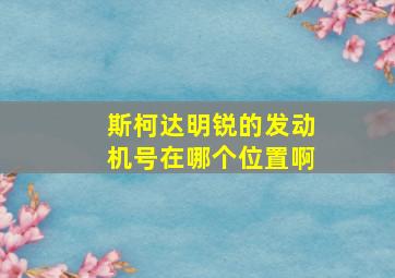 斯柯达明锐的发动机号在哪个位置啊