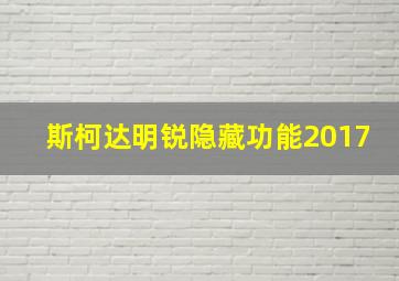 斯柯达明锐隐藏功能2017