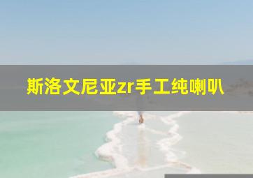 斯洛文尼亚zr手工纯喇叭