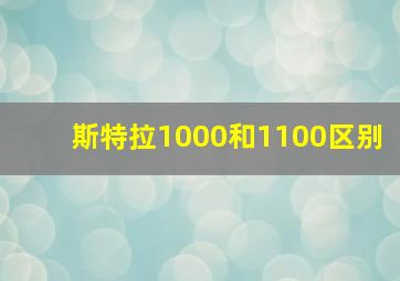 斯特拉1000和1100区别