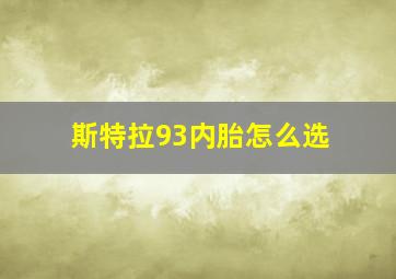 斯特拉93内胎怎么选