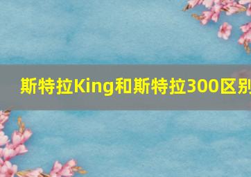 斯特拉King和斯特拉300区别