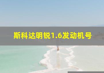 斯科达明锐1.6发动机号