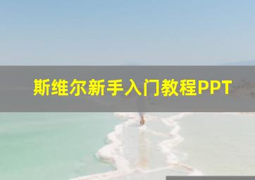 斯维尔新手入门教程PPT