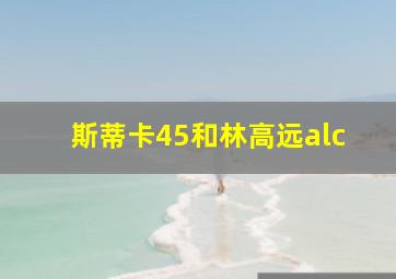 斯蒂卡45和林高远alc