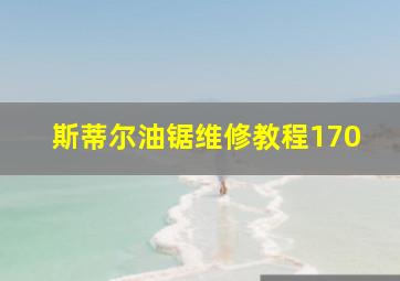 斯蒂尔油锯维修教程170