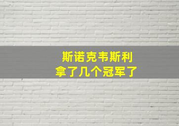 斯诺克韦斯利拿了几个冠军了