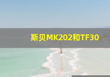 斯贝MK202和TF30