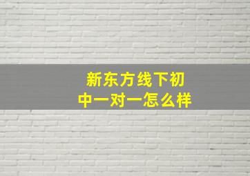 新东方线下初中一对一怎么样