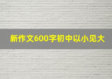 新作文600字初中以小见大