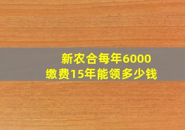 新农合每年6000缴费15年能领多少钱