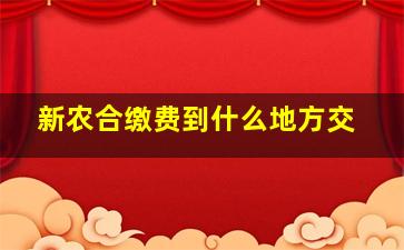 新农合缴费到什么地方交