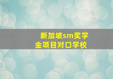 新加坡sm奖学金项目对口学校