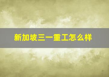 新加坡三一重工怎么样