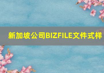 新加坡公司BIZFILE文件式样