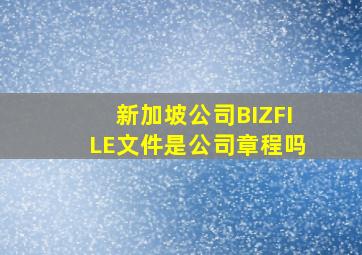 新加坡公司BIZFILE文件是公司章程吗