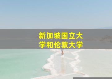 新加坡国立大学和伦敦大学