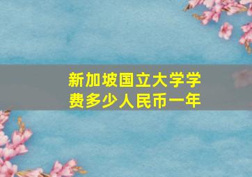 新加坡国立大学学费多少人民币一年