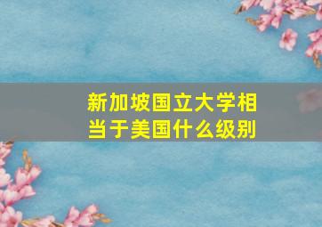 新加坡国立大学相当于美国什么级别