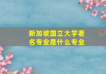 新加坡国立大学著名专业是什么专业