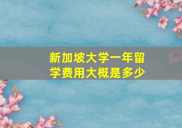 新加坡大学一年留学费用大概是多少