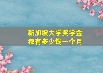 新加坡大学奖学金都有多少钱一个月