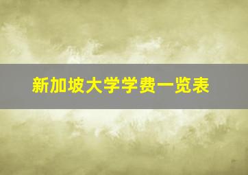 新加坡大学学费一览表