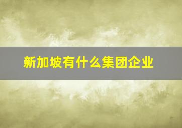 新加坡有什么集团企业