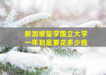 新加坡留学国立大学一年到底要花多少钱