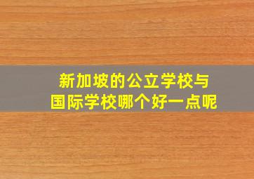 新加坡的公立学校与国际学校哪个好一点呢