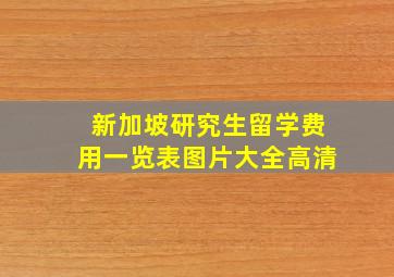 新加坡研究生留学费用一览表图片大全高清