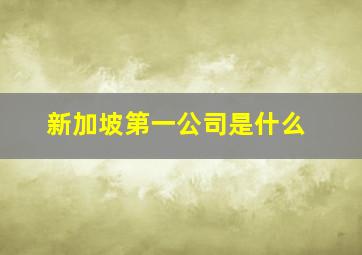 新加坡第一公司是什么