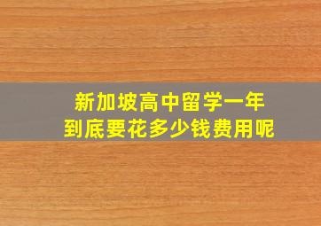 新加坡高中留学一年到底要花多少钱费用呢