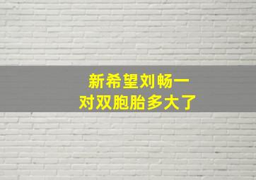 新希望刘畅一对双胞胎多大了