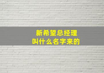 新希望总经理叫什么名字来的