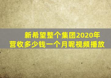 新希望整个集团2020年营收多少钱一个月呢视频播放