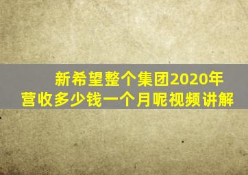 新希望整个集团2020年营收多少钱一个月呢视频讲解