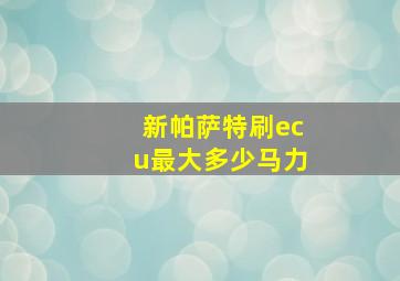 新帕萨特刷ecu最大多少马力