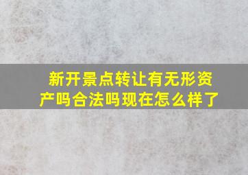 新开景点转让有无形资产吗合法吗现在怎么样了