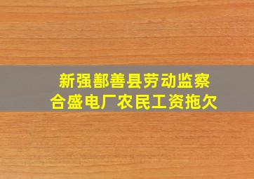 新强鄯善县劳动监察合盛电厂农民工资拖欠