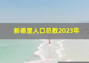 新德里人口总数2023年