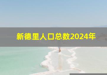 新德里人口总数2024年